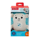 Mattel Fisher-Price Calming Vibes Hedgehog Soother