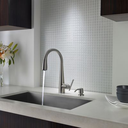 Pfister Lita 1-Handle Pull-Down Kitchen Faucet With Soap Dispenser, Stainless Steel