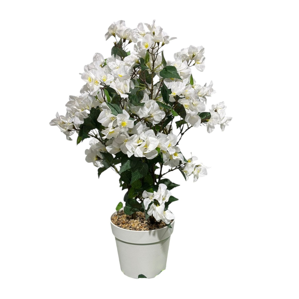 Classy Homes Artificial Plant, 70cm