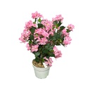 Classy Homes Artificial Plant, 70cm