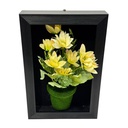 Classy Homes Artificial Plants With Frame, 20x30cm