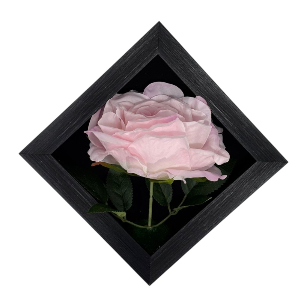 Classy Homes Artificial Plants With Frame, 20x20cm