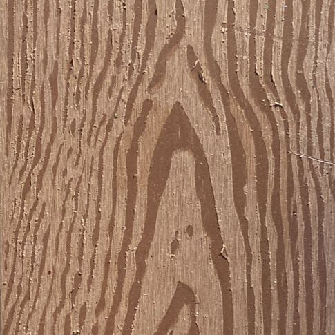 Royal Homes WPC Circle Decking, Red Brown, 23mm - 7.21Ft. X 0.45Ft