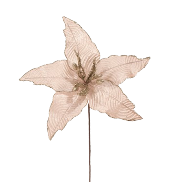 Miro Christmas Poinsettia 5P 33cm Champagne