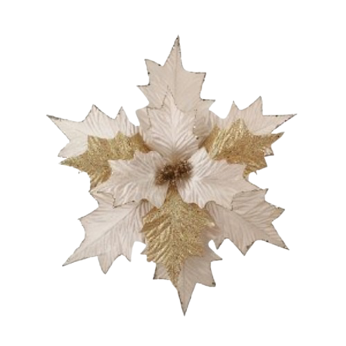 Christmas Poinsettia 30x46cm