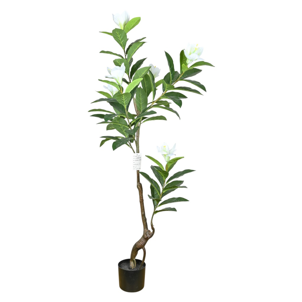 ****Classy Homes Artificial Plant 140Cm