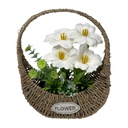 ****Classy Homes Artificial Plant, 37x27cm