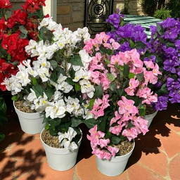 [HHGD-PLNT-01060 (CH0478P14) CHAP31855] Classy Homes Artificial Plant, 70cm