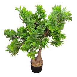 [HHGD-PLNT-01062 (CH0478P16) CHAP31857] Classy Homes Artificial Plant, 60cm