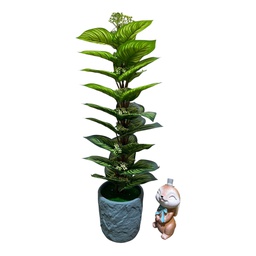 [HHGD-PLNT-01107 (CHLY-0768-40) CHAP31902] Classy Homes Artificial Plant, 62cm