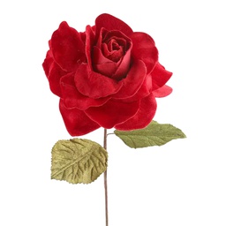 [831-AMX044-25177] ^Miro Rose 15x45cm Red