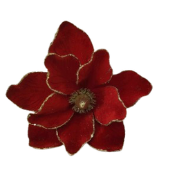 [XQ16730150] Christmas Flower 30x54cm